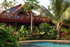 Coconut Paradise 